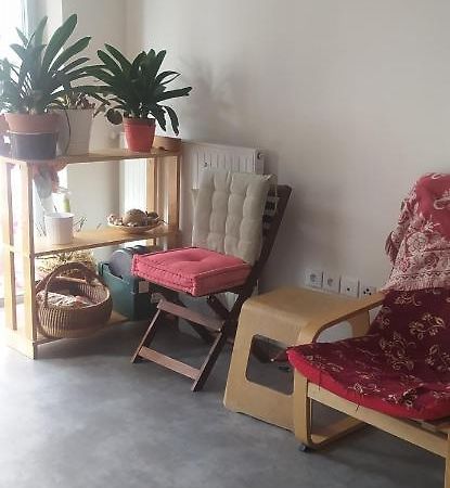 Studio Purpan Lägenhet Toulouse Exteriör bild