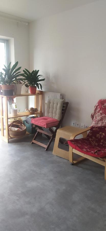 Studio Purpan Lägenhet Toulouse Exteriör bild